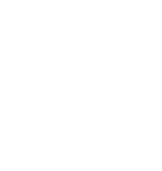 Reinhold Corporation
